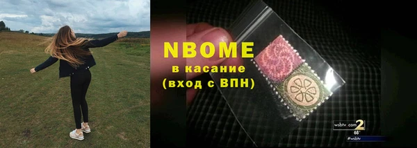 крисы Няндома