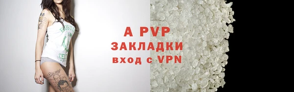 молекула духа Галич