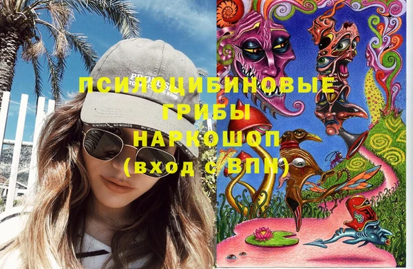крисы Няндома
