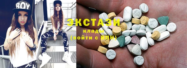 крисы Няндома