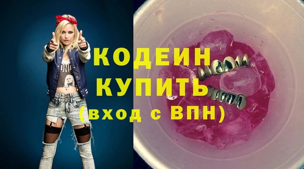 крисы Няндома