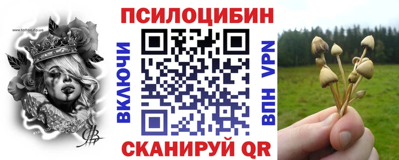 Галлюциногенные грибы GOLDEN TEACHER Ковылкино