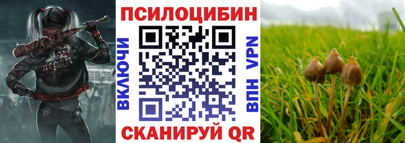 наркотики  Ковылкино  Псилоцибиновые грибы Psilocybine cubensis 